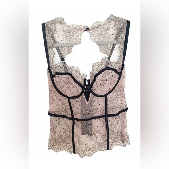 Victoria's Secret Other - Victoria's Secret 2014 Fashion Show Pink Sheer Floral Chantilly Lace Corset